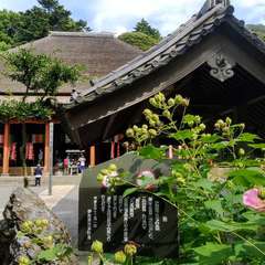 投稿日:2019年9月23日 写真