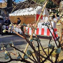 投稿日:2022年1月3日 写真