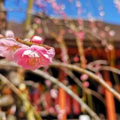 投稿日:2021年2月28日 写真