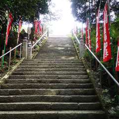 投稿日:2019年9月23日 写真