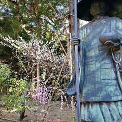 投稿日:2021年2月28日 写真