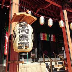 投稿日:2019年1月5日 写真