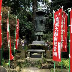 投稿日:2019年7月28日 写真