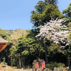 投稿日:2019年4月6日 写真