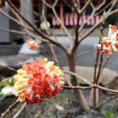 投稿日:2022年3月21日 写真