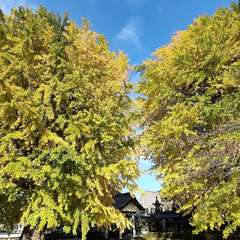 投稿日:2022年12月4日 写真