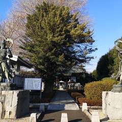 投稿日:2020年1月11日 写真