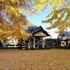 投稿日:2021年11月28日 写真