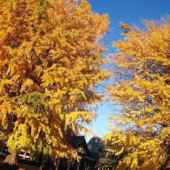 投稿日:2021年11月28日 写真