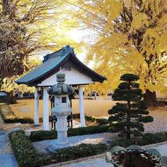 投稿日:2021年11月28日 写真