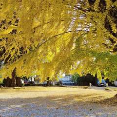 投稿日:2022年12月4日 写真