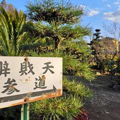 投稿日:2020年1月11日 写真