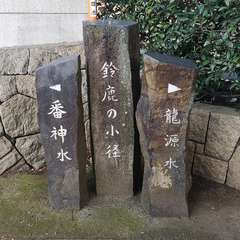 投稿日:2020年1月11日 写真