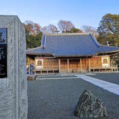 投稿日:2020年1月11日 写真