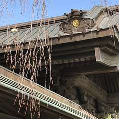 投稿日:2021年2月23日 写真