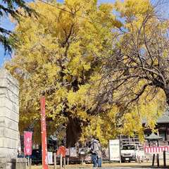 投稿日:2022年12月4日 写真