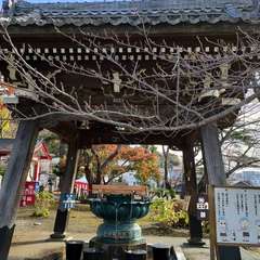 投稿日:2022年12月4日 写真