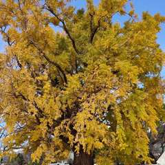 投稿日:2022年12月4日 写真
