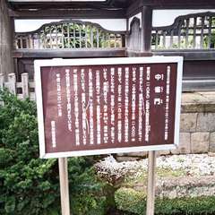 投稿日:2020年10月18日 写真