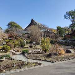 投稿日:2022年12月4日 写真