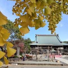 投稿日:2022年12月4日 写真