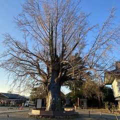投稿日:2023年1月9日 写真