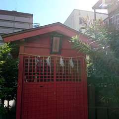 投稿日:2022年6月4日 写真