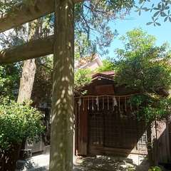 投稿日:2022年6月4日 写真