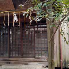 投稿日:2022年10月4日 写真