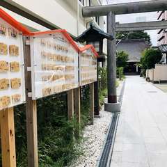 投稿日:2019年9月5日 写真