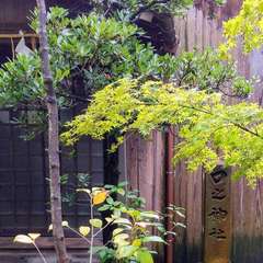 投稿日:2019年10月20日 写真