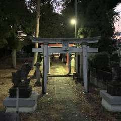 写真
