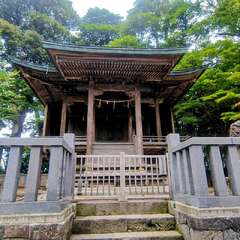 天津神社(投稿日:2025年11月6日) 写真