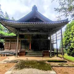 藤崎神社(投稿日:2025年11月5日) 写真