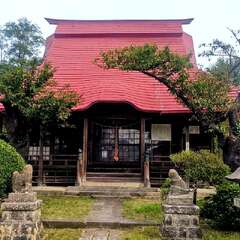 府中八幡宮(投稿日:2025年11月4日) 写真