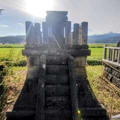 物部神社(投稿日:2025年11月4日) 写真
