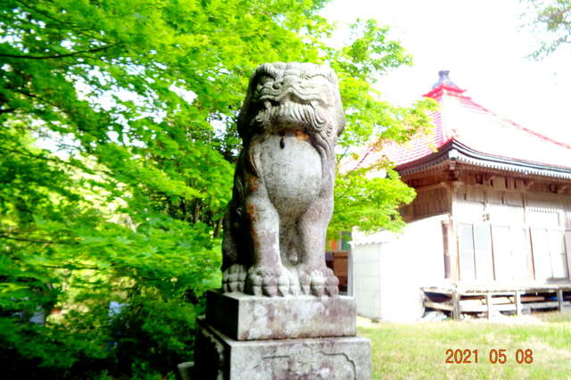 写真
