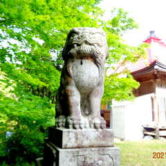 写真