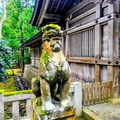 投稿日:2025年8月6日 写真