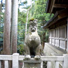 投稿日:2025年7月12日 写真