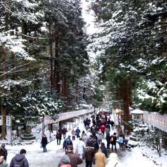 投稿日:2024年1月8日 写真