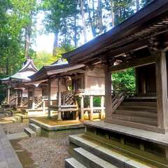 投稿日:2025年8月6日 写真