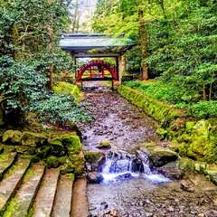 投稿日:2025年8月6日 写真