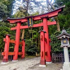 投稿日:2025年8月6日 写真