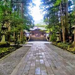 投稿日:2025年8月6日 写真