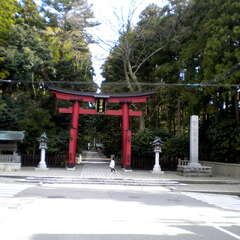 投稿日:2025年7月12日 写真