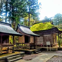 投稿日:2025年8月6日 写真