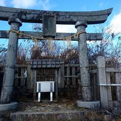 投稿日:2021年11月18日 写真