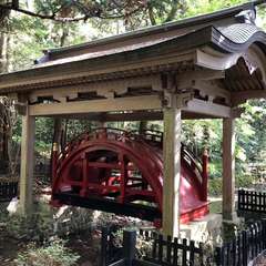 投稿日:2024年5月23日 写真