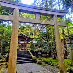 投稿日:2025年8月6日 写真